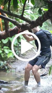 BIB:  <button type="button" onclick="openModal(27521005)" class="btn btn-primary btn-sm float-right" data-toggle="modal" data-target=".modal-high-quality">
                <i class="fa fa-download"></i> Download
                </button>